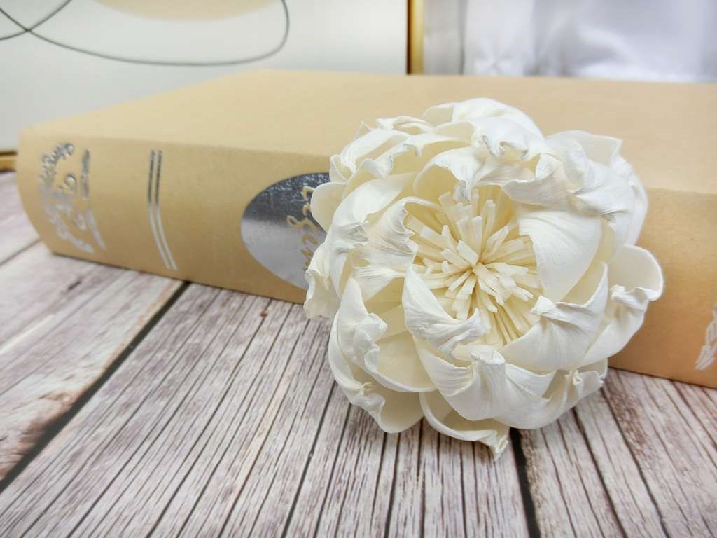 泰國芍藥牡丹8cm(5入)白