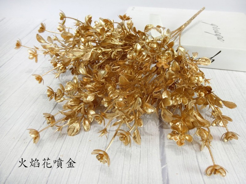 火焰花噴金(89)