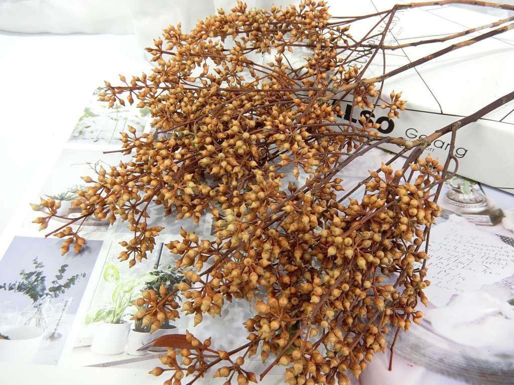 乾花小米果(86)