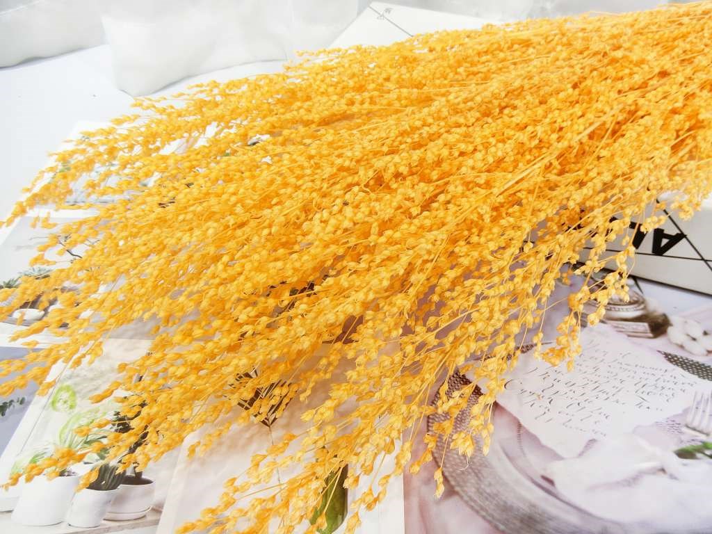 乾花麥穗花(86)