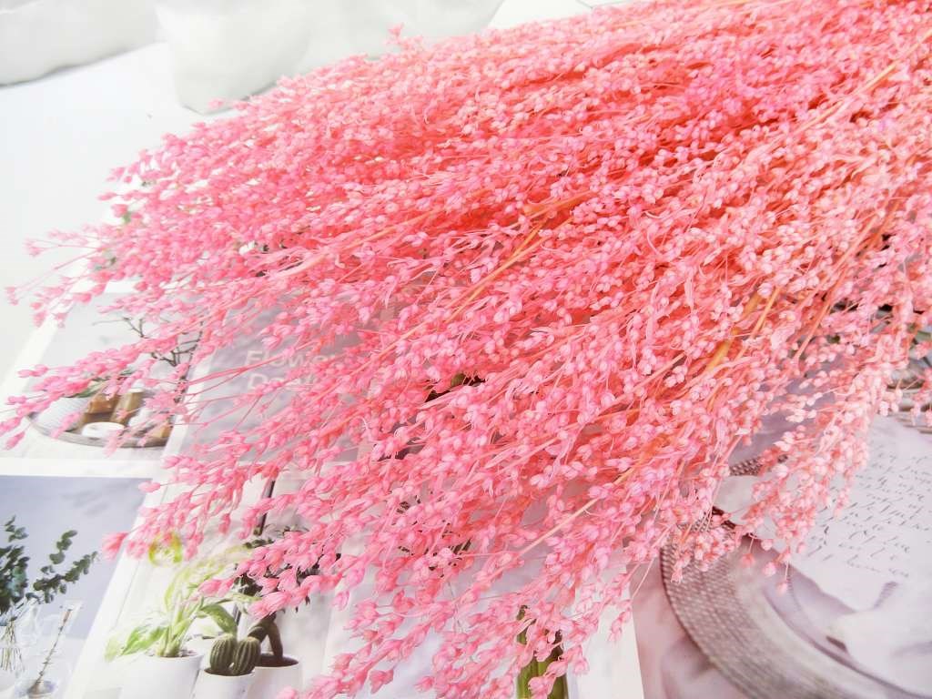 乾花麥穗花(86)