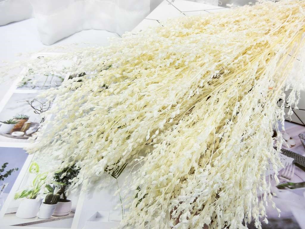 乾花麥穗花(86)
