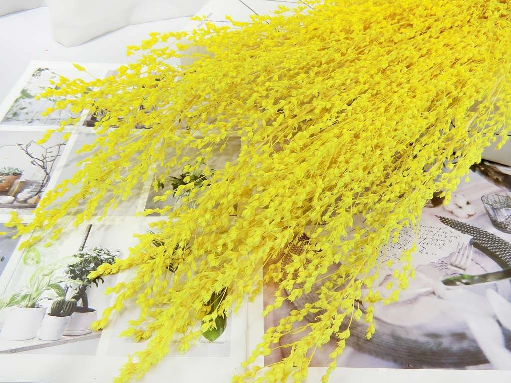乾花麥穗花(86)
