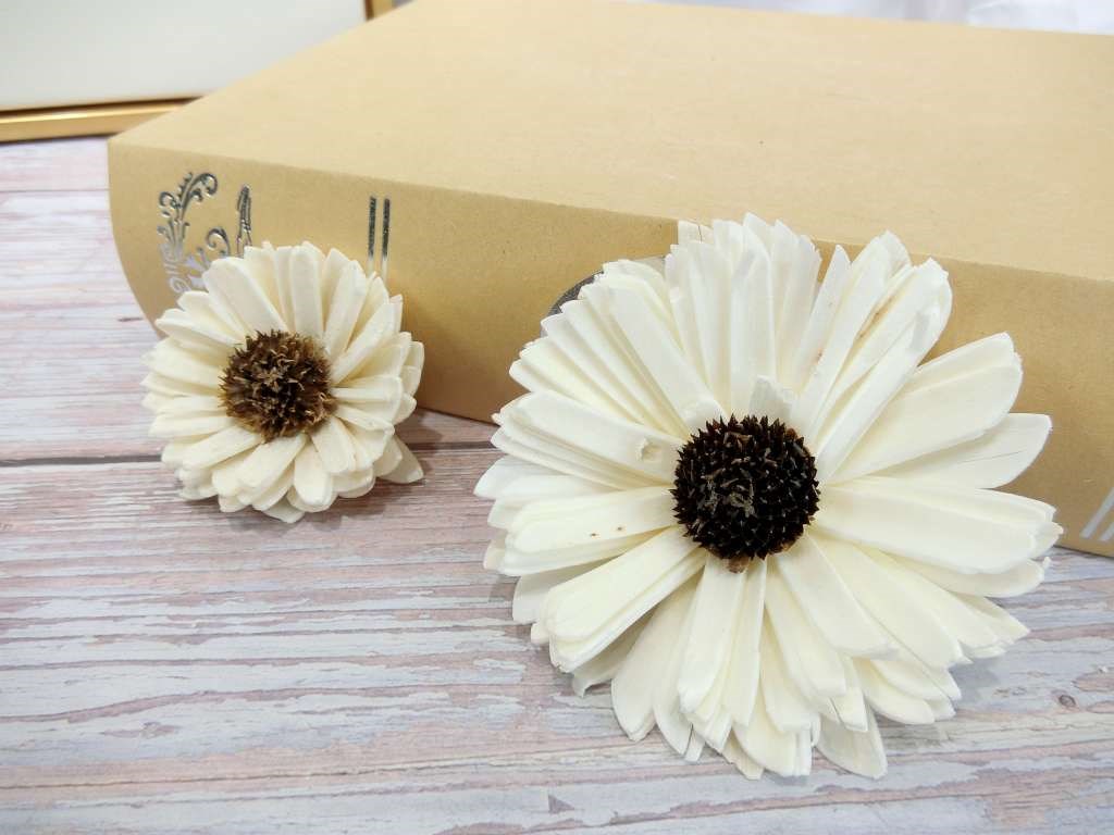 索拉向日葵6cm(8)10入-白*