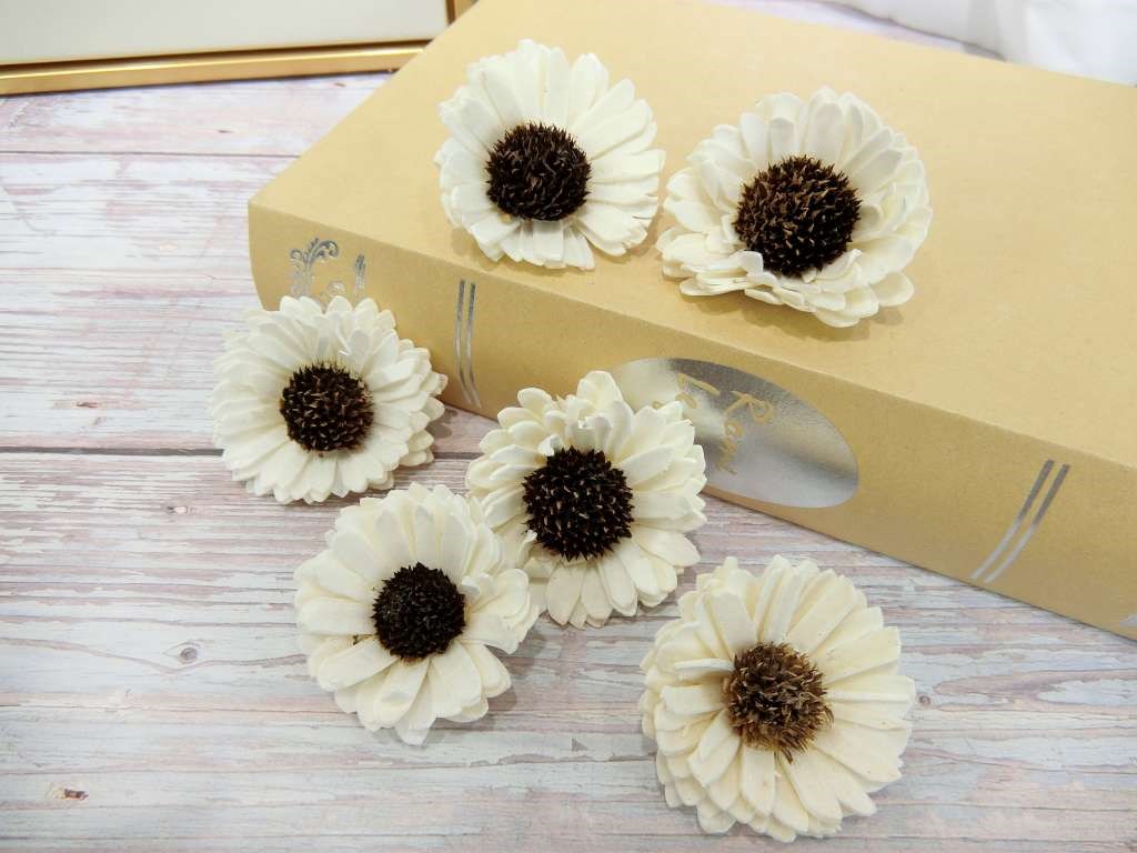 索拉向日葵6cm(8)10入-白*