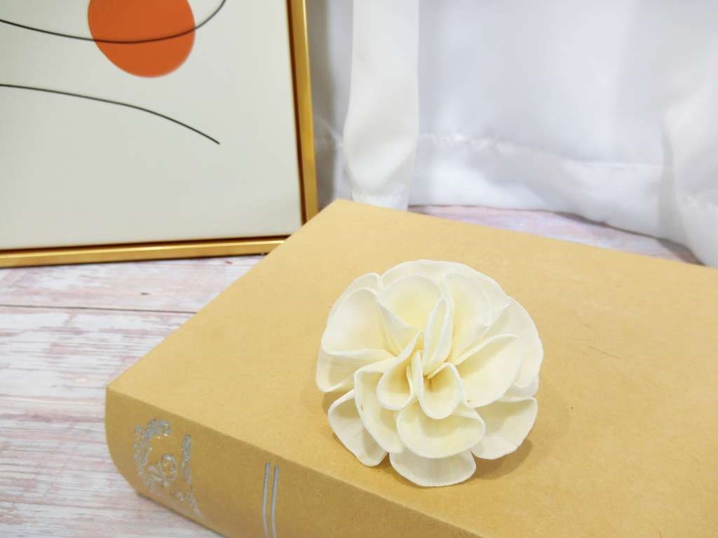 索拉千層花5cm(8)10入-白*