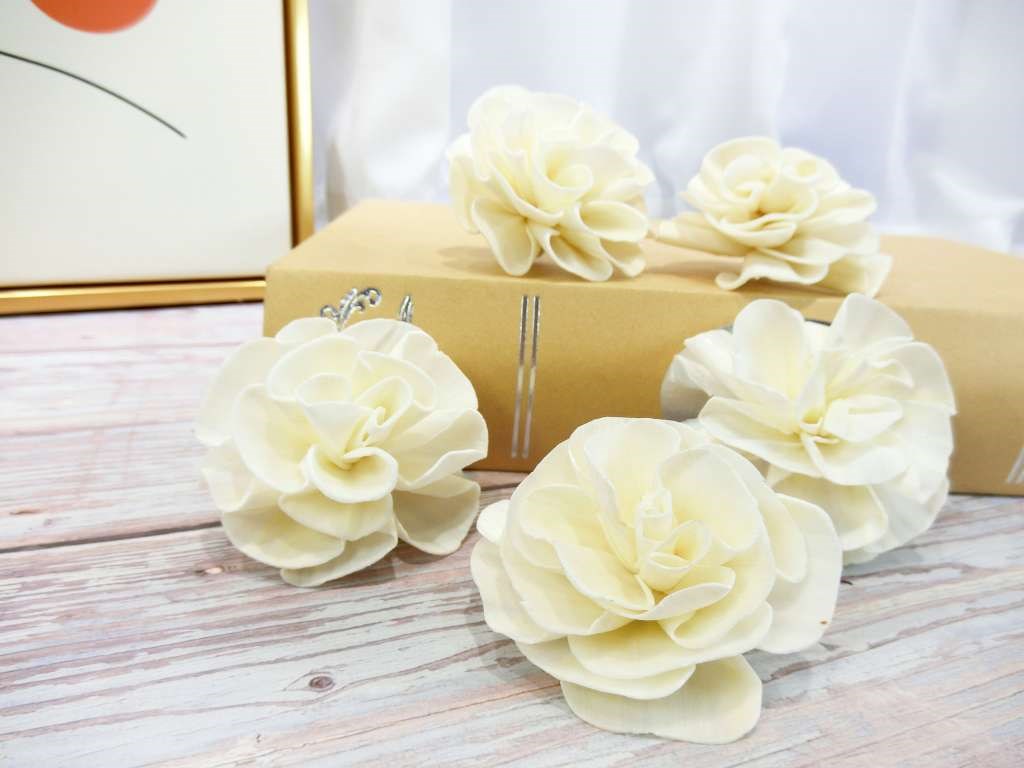 索拉千層花5cm(8)10入-白*