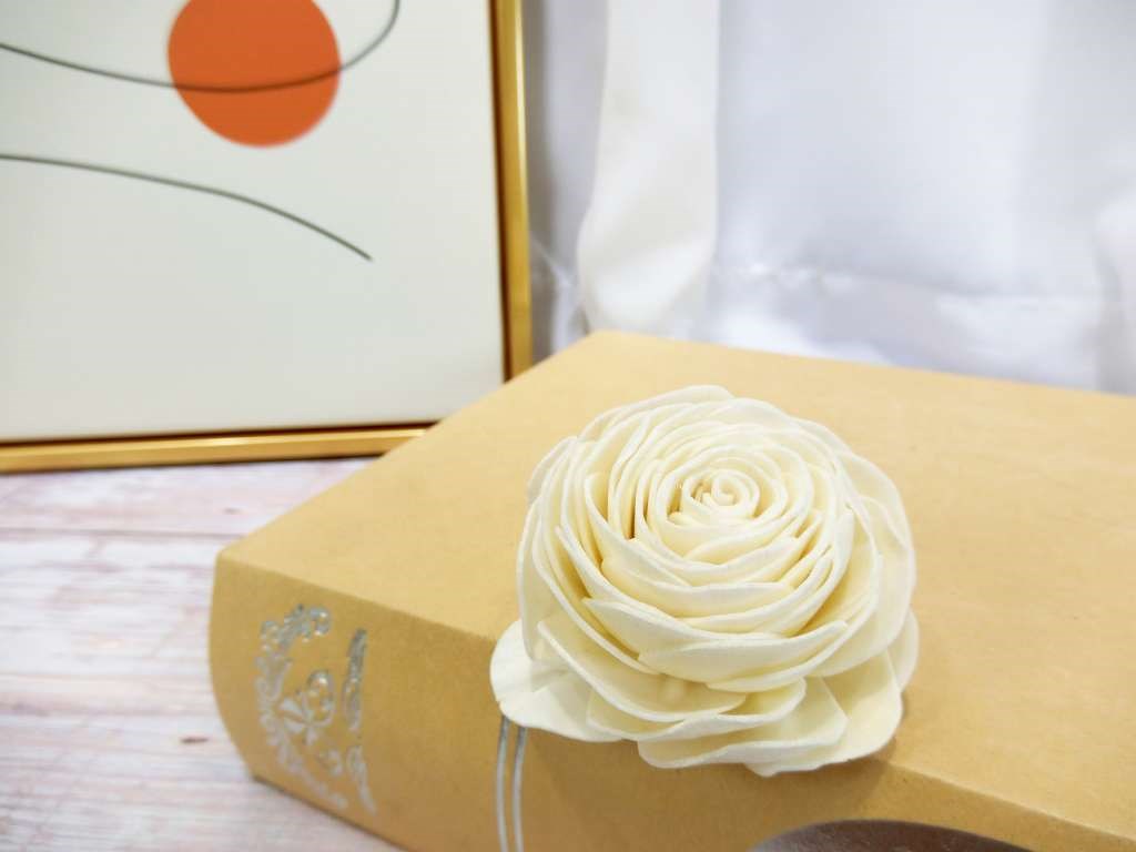索拉美眉6cm(8)10入-白*