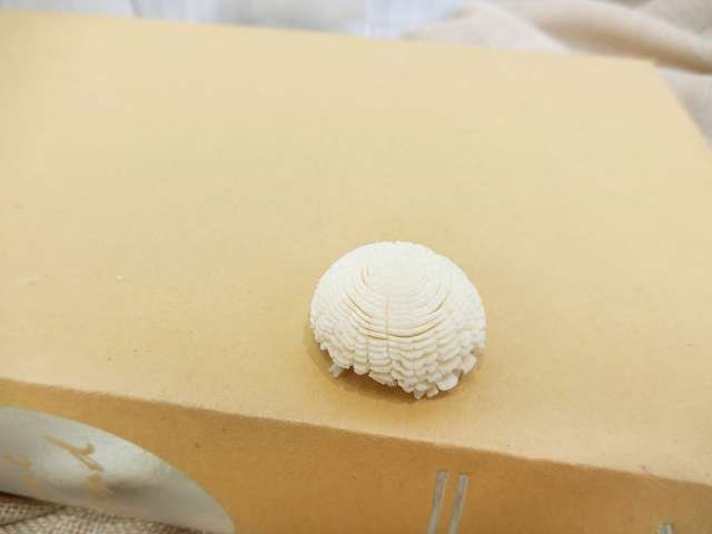 泰國索拉圓滿花  3cm(10入)白