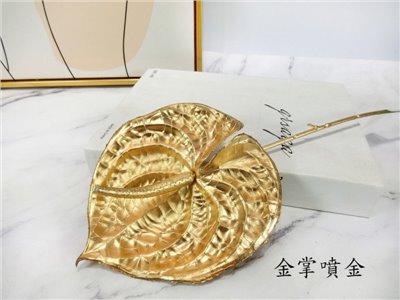 金掌噴金(7)