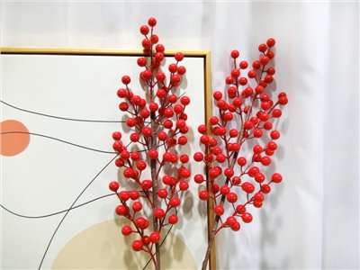 7叉12果豆豆-2.jpg入(71)噴紅