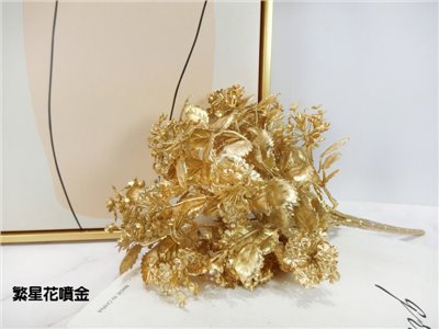 繁星花噴金(89)