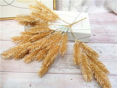 把束毛松噴金(71)