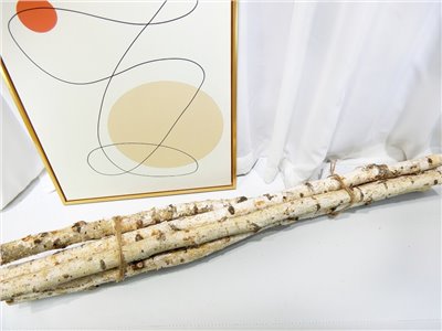 YW001A樺木棍3-4m 90cm (5入)