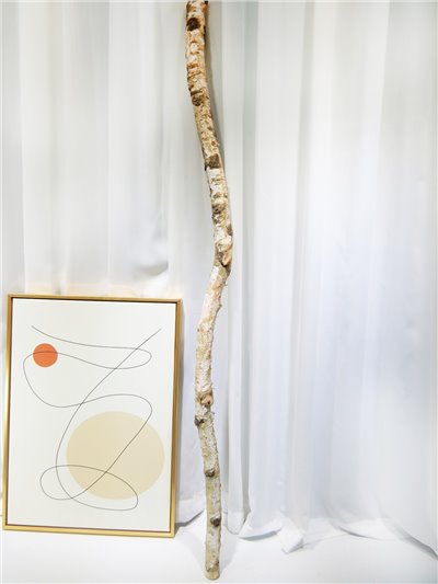 YW020*樺木棍120cm(88)