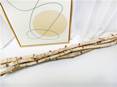 YW021*樺木棍90cm(88)5入