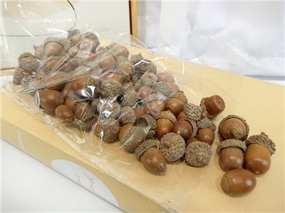 ZG13871A橡果200g(96)