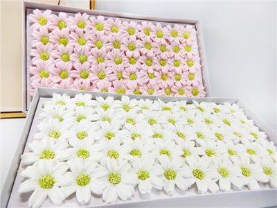 小秋菊香皂花頭50入(92)