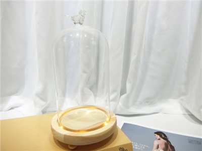10x20小鳥罩含燈(31)
