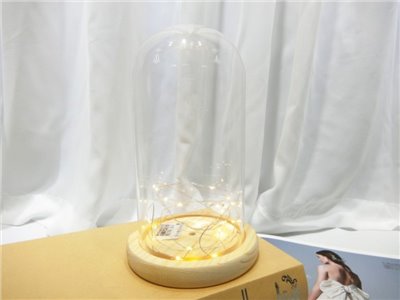 10x20光明罩(31)含燈