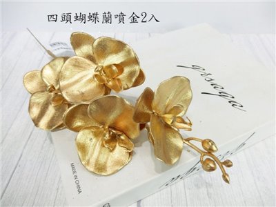 四頭蝴蝶蘭噴金(71)2入