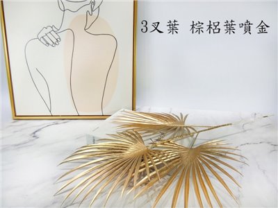 3叉葵(7)棕梠葉噴金