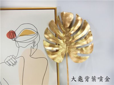 大龜背葉噴金(7)
