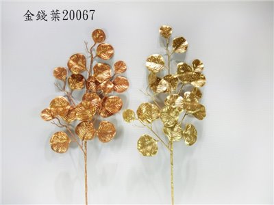 金錢葉(409)20067