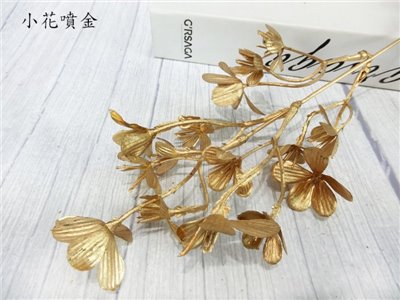 小花噴金(71)