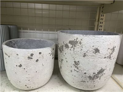 WL17231屋綠色(032)
