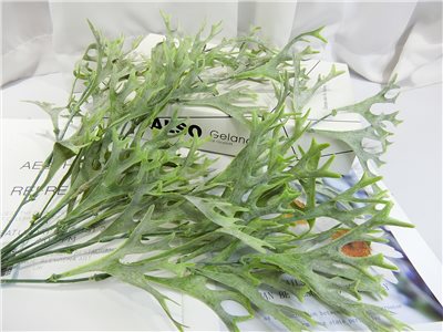 鹿角蕨吊飾-短(43)
