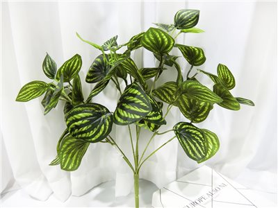 7頭西瓜葉(7)