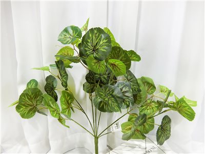 7頭海棠葉(7)