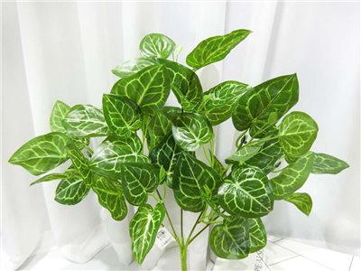 五叉水晶花燭葉小把(83)