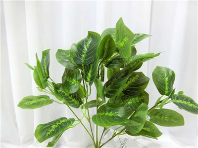 五叉竹芋葉小把(83)