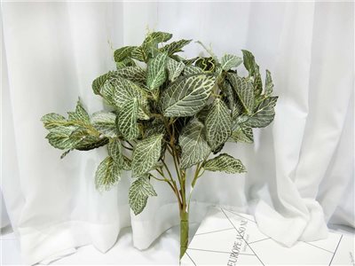 15吋網紋草(30)A3565