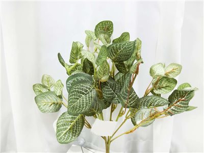 小網紋葉束(47)