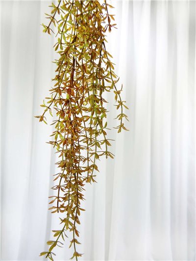 484模擬草(63)