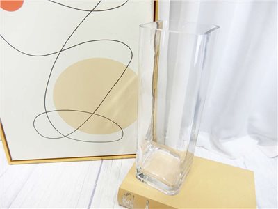 1133方透明玻璃花插(301)