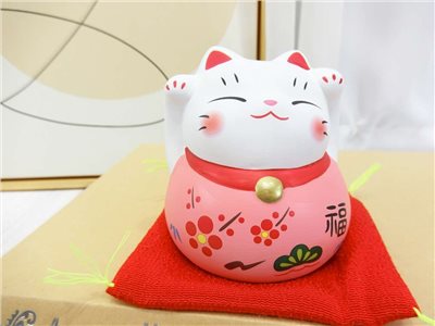 LM錦財貓(203)粉