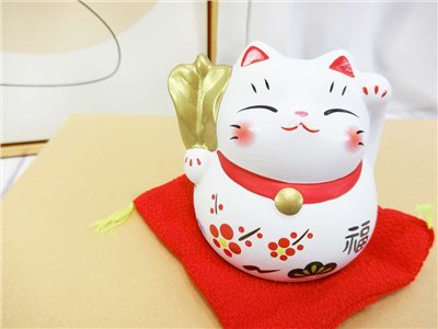 LM錦財貓(203)白