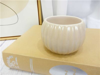 QL289陶瓷(306)杏