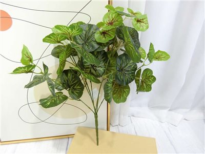 7頭海棠葉(7)