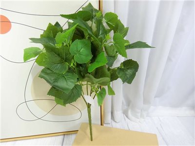 五叉蔓葡萄葉小把(83)