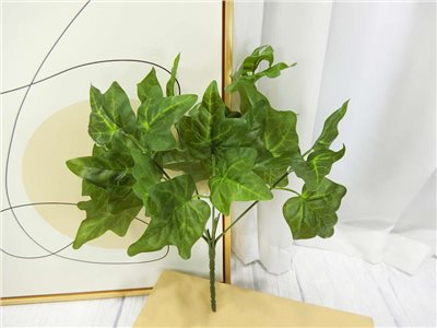 新五叉綠常春葉小小把(83)