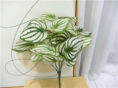 新五叉西瓜葉小小把(83)