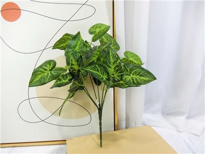 新五叉合果芋葉小小把(83)