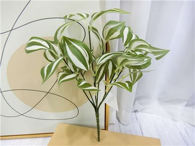 新五叉眼眉葉小小把(83)