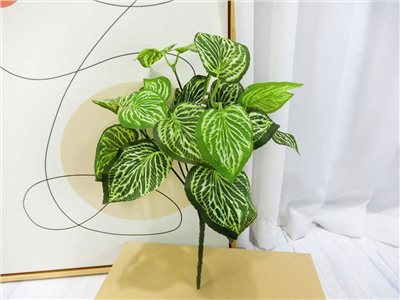 新五叉冷水草葉小小把(83)
