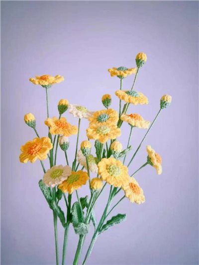 編織毛線洋甘菊3花2苞(99)